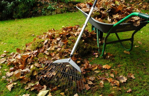 Spring & Fall Cleanup