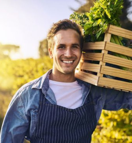 garderner-team-5 garderner-team-5