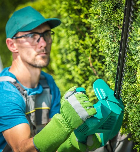 garderner-team-6 garderner-team-6